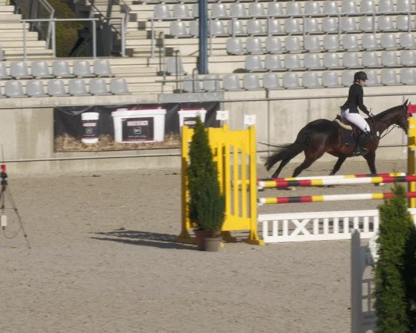 Reitturnier Aachen-Soers 2022
