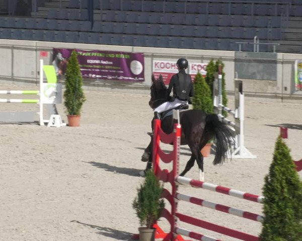 Reitturnier Aachen-Soers 2022