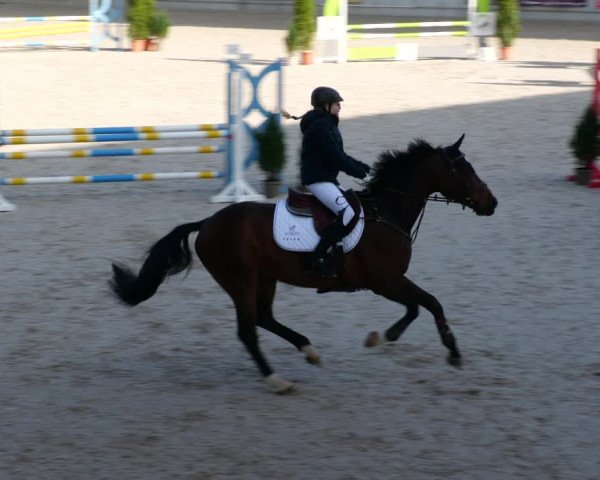 Reitturnier Aachen-Soers 2022
