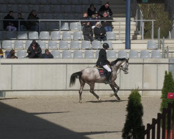 Reitturnier Aachen-Soers 2022
