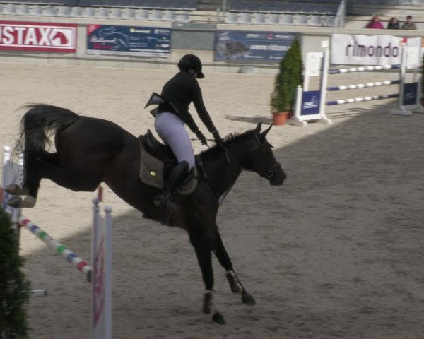Reitturnier Aachen-Soers 2022
