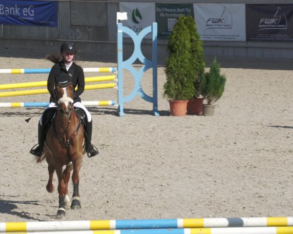 Reitturnier Aachen-Soers 2022