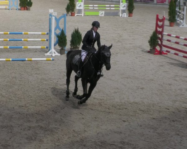 Reitturnier Aachen-Soers 2022