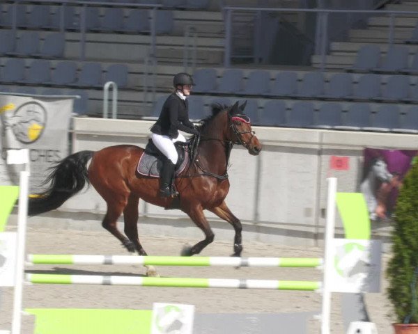 Reitturnier Aachen-Soers 2022