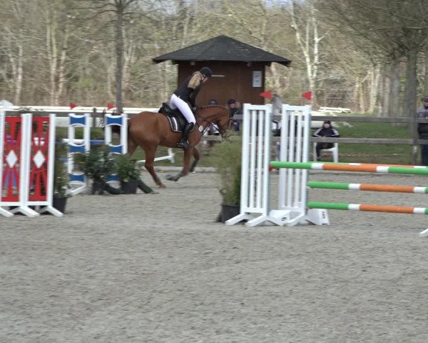 Reitturnier Elmlohe 2022