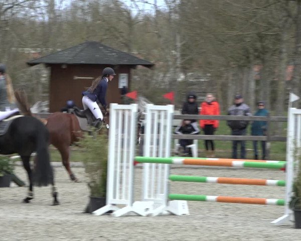 Reitturnier Elmlohe 2022