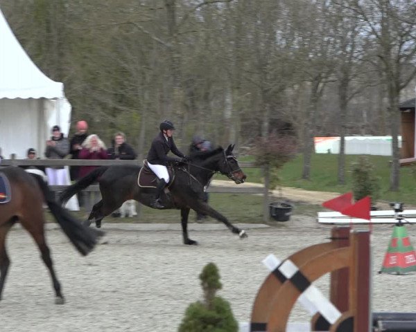 Reitturnier Elmlohe 2022