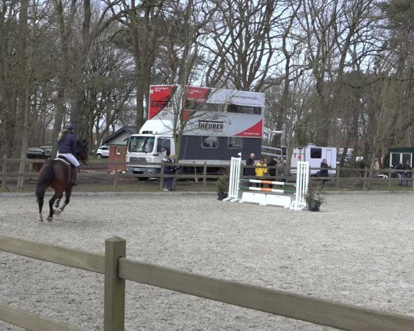 Reitturnier Elmlohe 2022