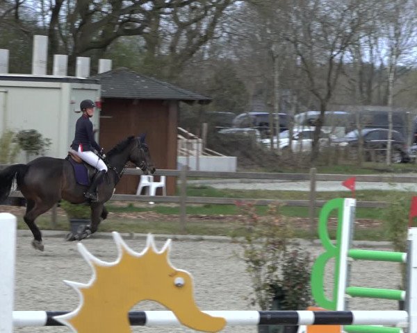 Reitturnier Elmlohe 2022