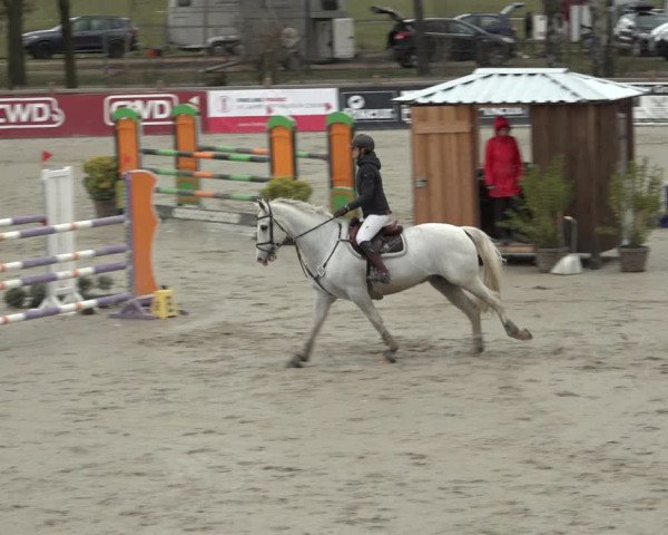 Reitturnier Westergellersen 2022