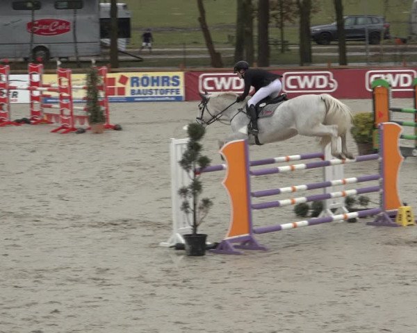 Reitturnier Westergellersen 2022