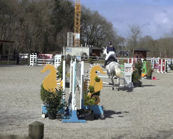 Reitturnier Elmlohe 2022
