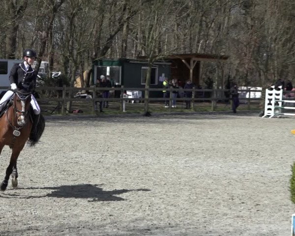 Reitturnier Elmlohe 2022