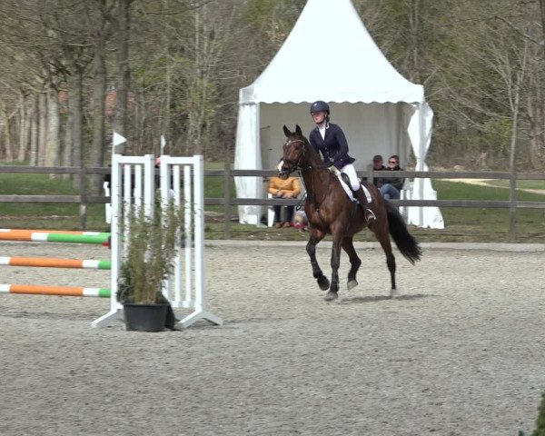 Reitturnier Elmlohe 2022