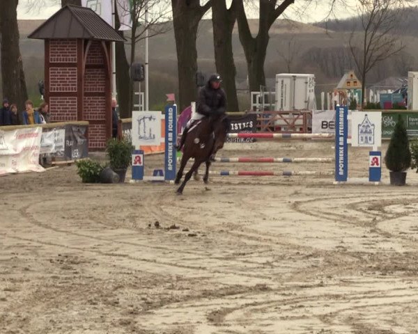 Reitturnier Werne-Lenklar 2022