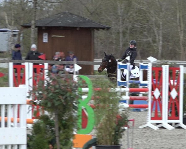 Reitturnier Elmlohe 2022