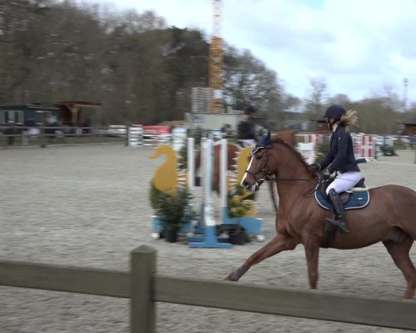 Reitturnier Elmlohe 2022