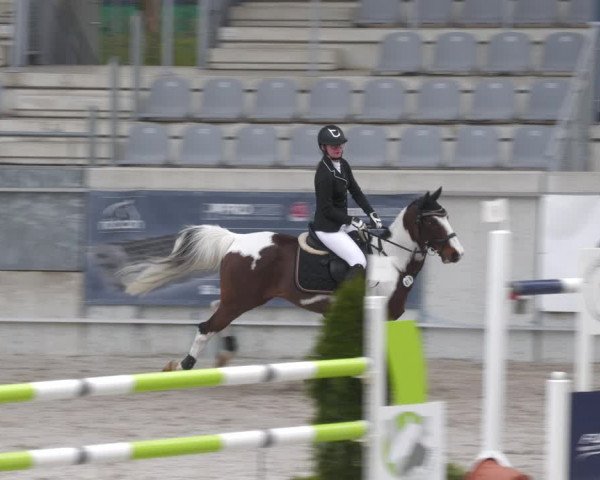 Reitturnier Aachen-Soers 2022