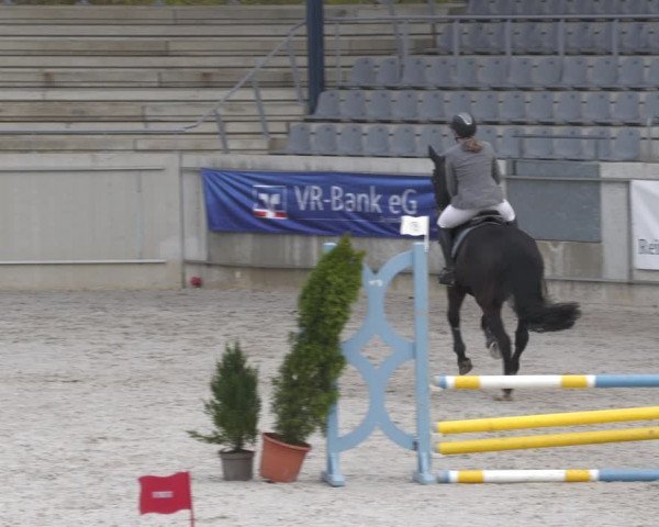 Reitturnier Aachen-Soers 2022