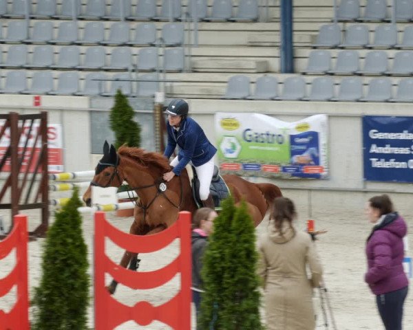 Reitturnier Aachen-Soers 2022