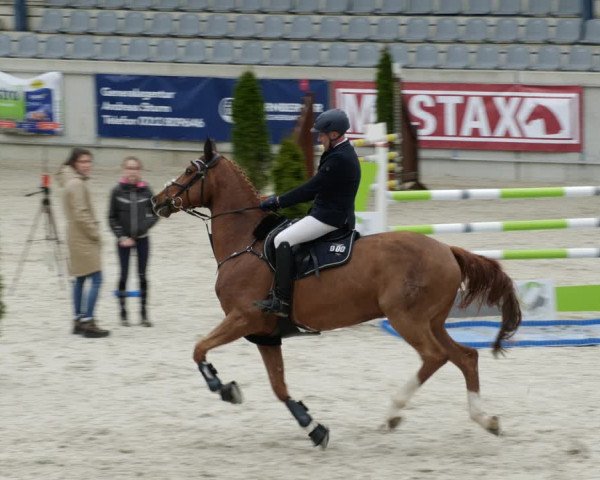 Reitturnier Aachen-Soers 2022