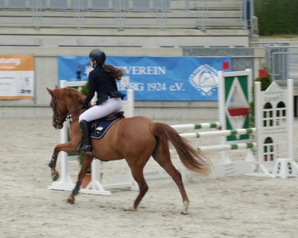 Reitturnier Aachen-Soers 2022