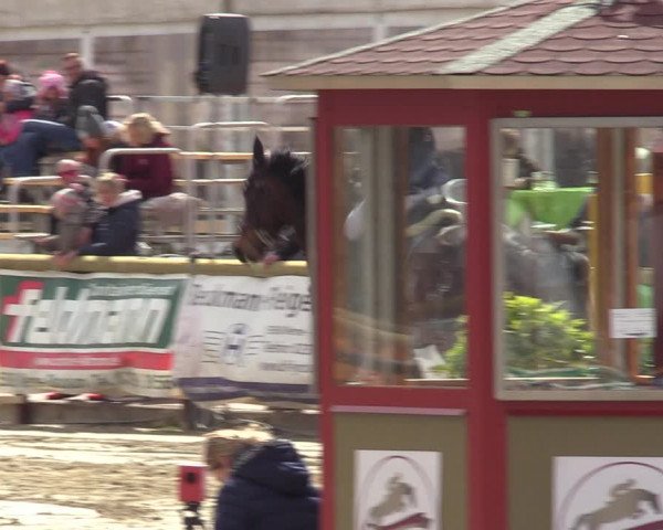 Reitturnier Werne-Lenklar 2022