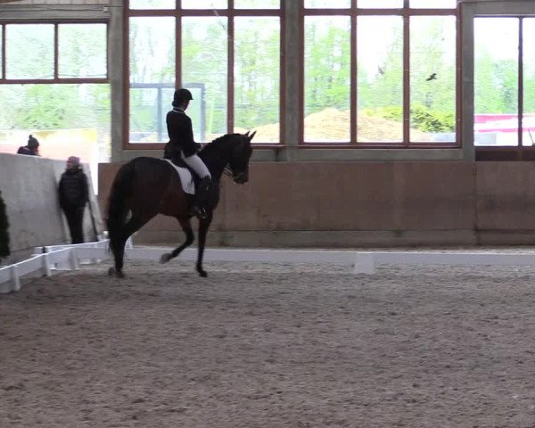 Reitturnier Leverkusen-Rheindorf 2022