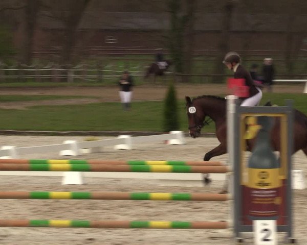 Reitturnier Münster-Handorf | Late Entry 2022