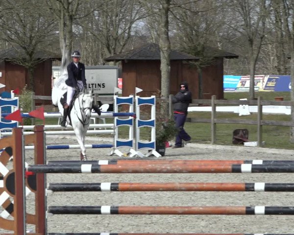 Reitturnier Elmlohe 2022