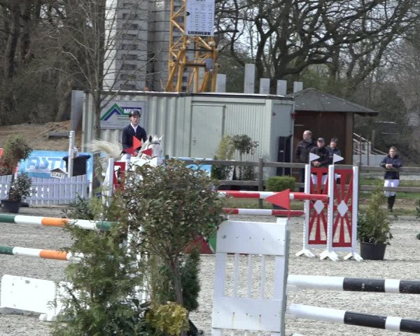 Reitturnier Elmlohe 2022