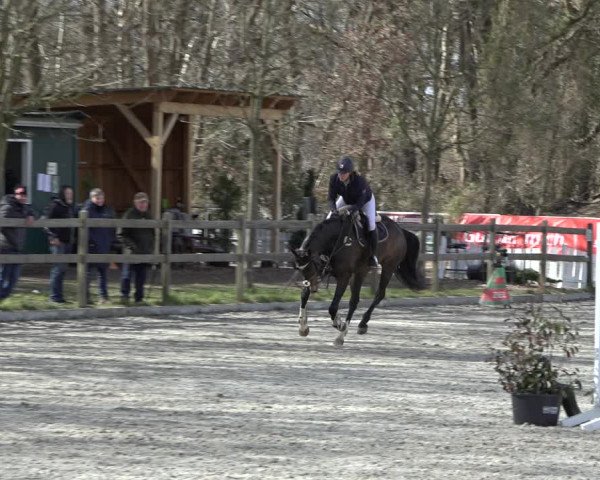 Reitturnier Elmlohe 2022