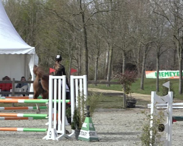 Reitturnier Elmlohe 2022