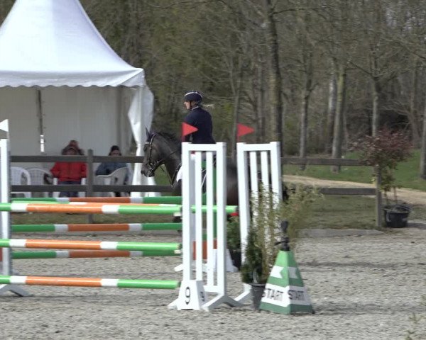 Reitturnier Elmlohe 2022