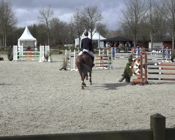 Reitturnier Elmlohe 2022