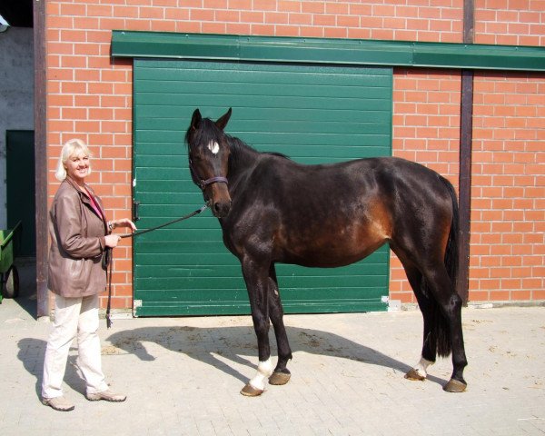 broodmare Feine Bedoine (Westphalian, 2009, from Feiner Bedo)