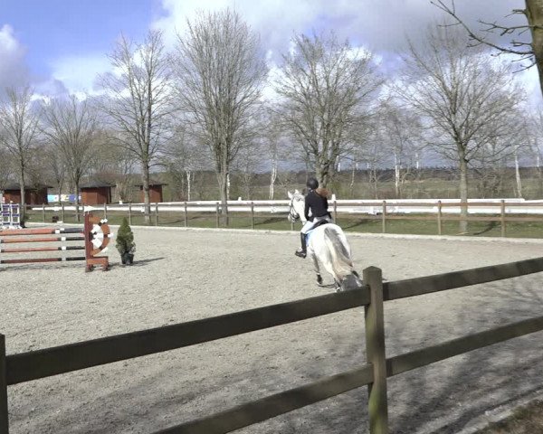Reitturnier Elmlohe 2022