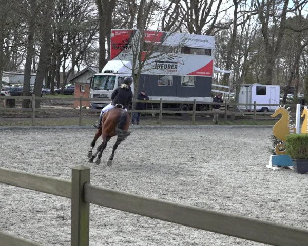 Reitturnier Elmlohe 2022