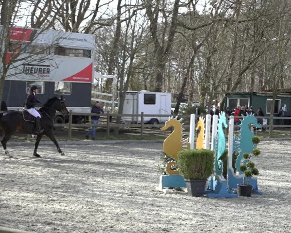 Reitturnier Elmlohe 2022