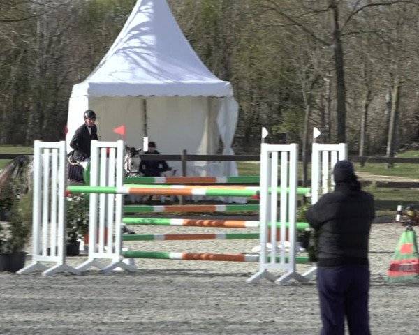 Reitturnier Elmlohe 2022
