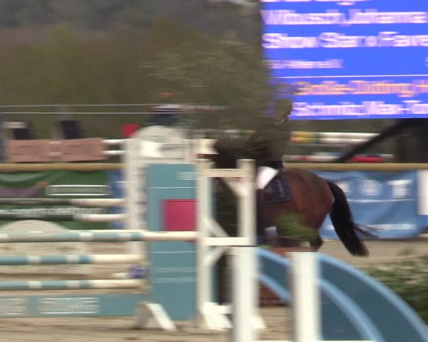 Reitturnier Werne-Lenklar 2022