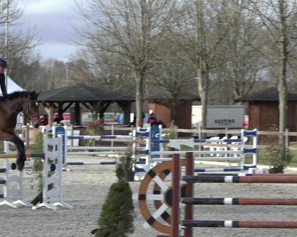 Reitturnier Elmlohe 2022