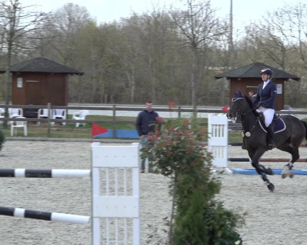 Reitturnier Elmlohe 2022