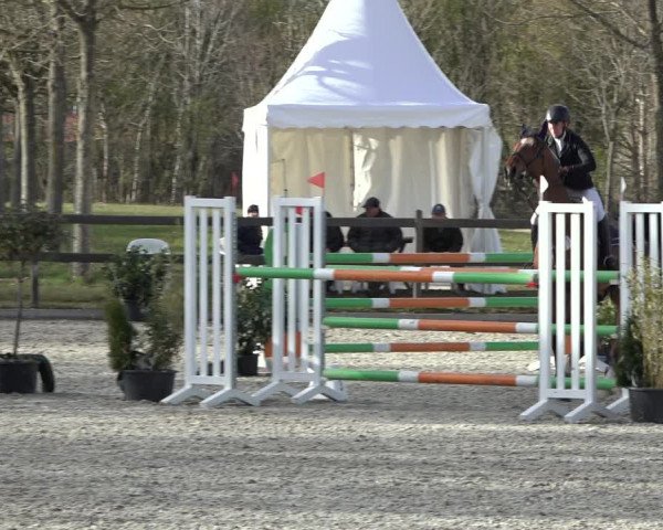Reitturnier Elmlohe 2022