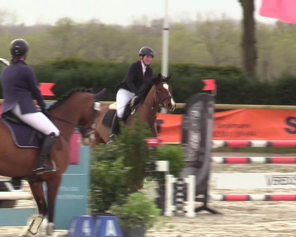 Reitturnier Werne-Lenklar 2022