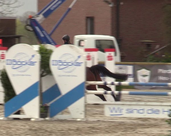 Lenklarer Reitertage 2022 (Werne)