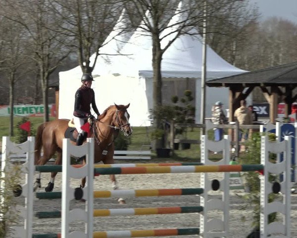 Reitturnier Elmlohe 2022