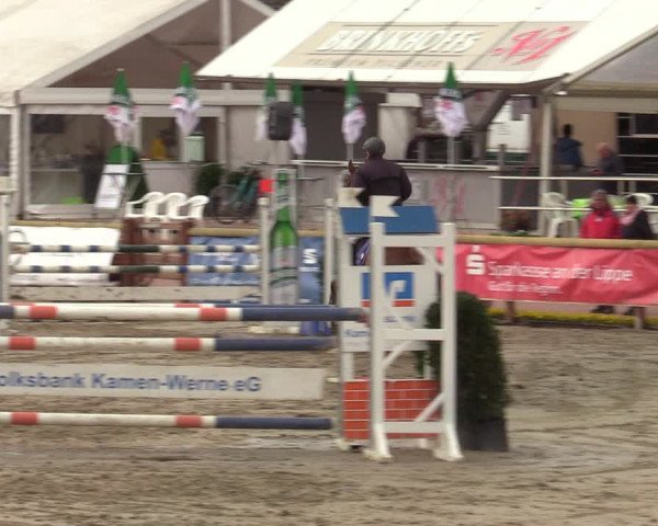 Reitturnier Werne-Lenklar 2022