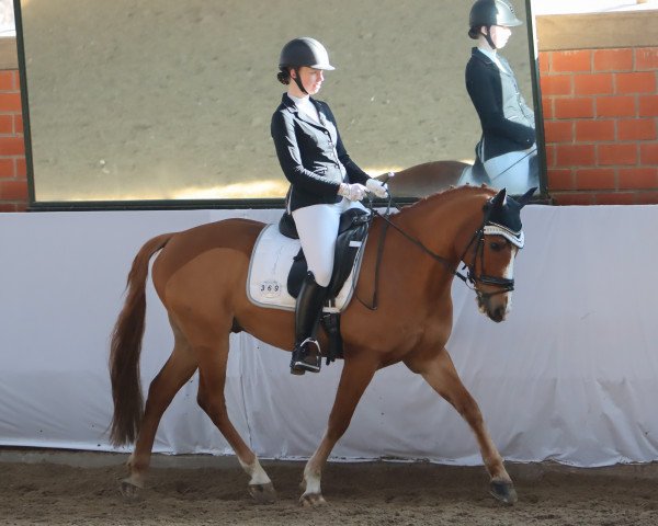 Annika Höping