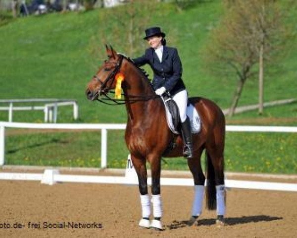 dressage horse Marburg's Fürstengold (Hanoverian, 2003, from Fürstenreich)